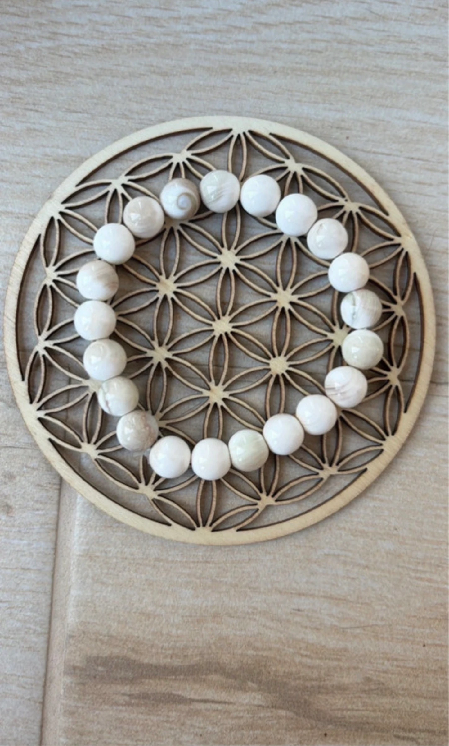 Natural Shiva Shell Bracelet 8 mm Shiva's Eye – photo 2